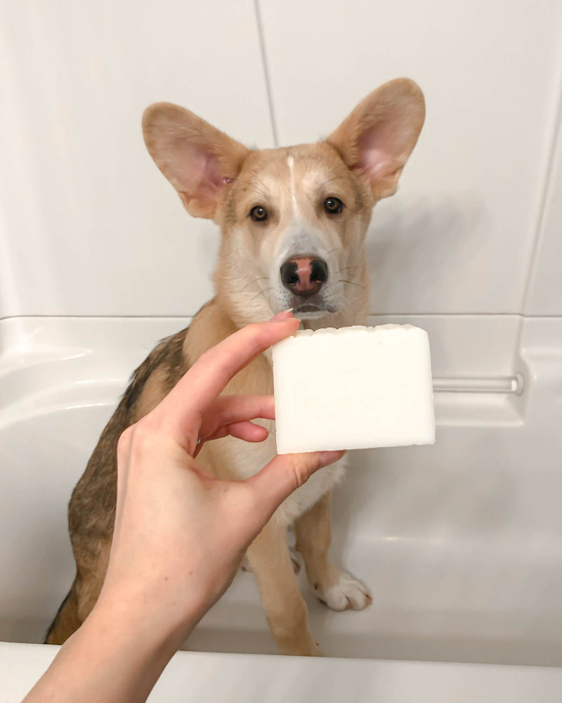 Soap Dirty Dawg Natural Dog